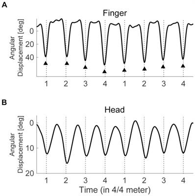Head movements induced by voluntary neck flexion stabilize sensorimotor synchronization of the finger to syncopated auditory rhythms